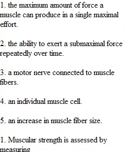 Chapter 4 Quiz